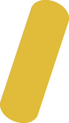 Grain de Sénevé - Grain - 1