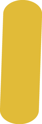 Grain de Sénevé - Grain - 2