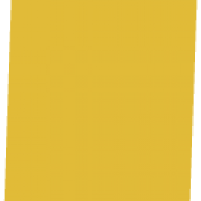 Grain de Sénevé - Grain - 2