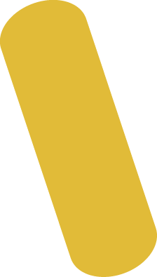 Grain de Sénevé - Grain - 3